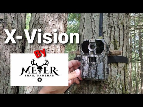 Meyer Vision