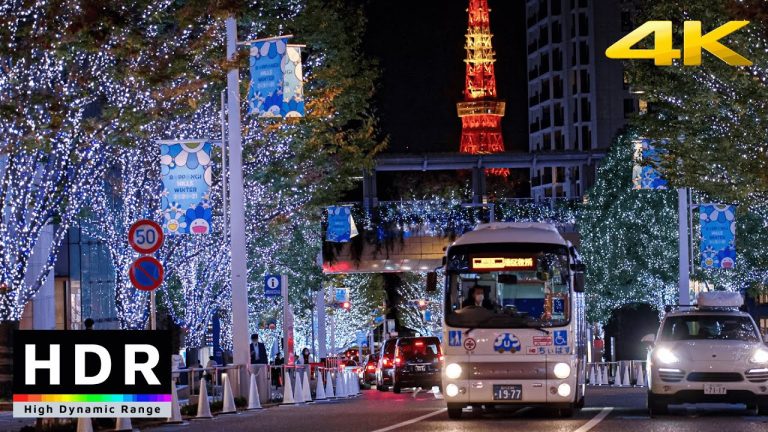 Shinjuku-ku