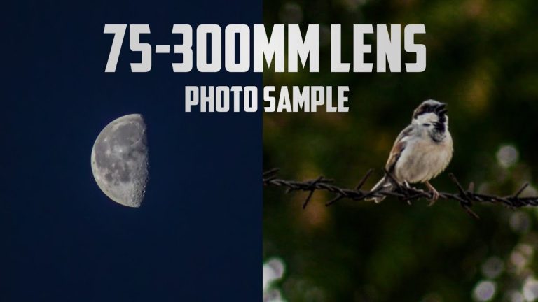 What does a 300mm lens mean?