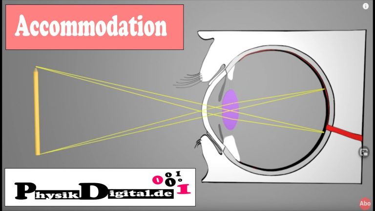 What does OS mean for eyes?