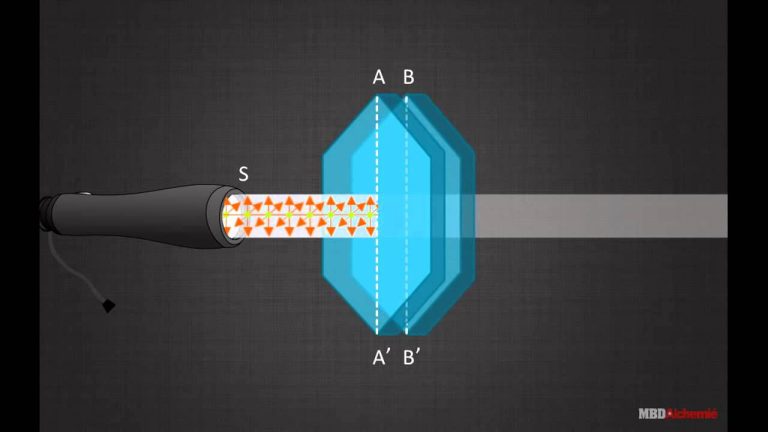 What does polarized mean in science?