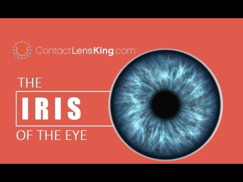 What is the difference between iris and pupil?